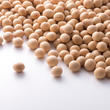 Soy beans, organic