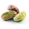 Pistachios, shelled, raw