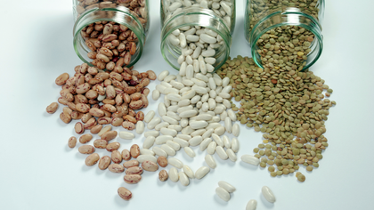 Legumes