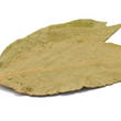Bay Leaves, whole, organic, 8g
