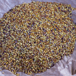 Red Clover Seed, Organic, 175g