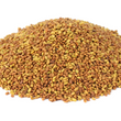 Alfalfa Seed, Organic, 175g